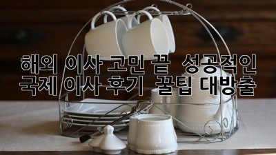 해외 이사 고민 끝! 📦 성공적인 국제 이사 후기 & 꿀팁 대방출! ✈️